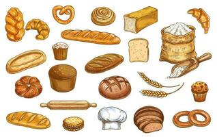 brot, Bäckerei skizzieren und Gebäck, gebacken Essen Symbole vektor