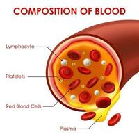 Komposition von Blut Vektor Medizin Hilfe planen