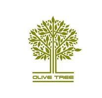 oliv träd, lantbruk företag ikon eller emblem vektor