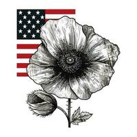 skön vattenfärg illustration vallmo blomma och amerikan flagga vektor
