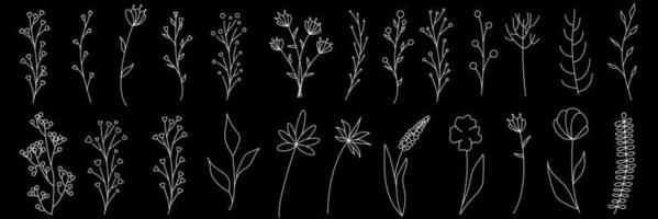 Sammlung minimalistischer einfacher floraler Elemente. grafische Skizze. modisches Tattoo-Design. Blumen, Gras und Blätter. botanische natürliche Elemente. Vektorillustration. Umriss, Linie, Doodle-Stil. vektor