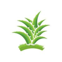 aloe vera logotyp ikon design symbol skönhet vektor