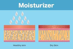 fuktighetskräm och torr hud och frisk hud vektor