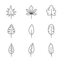 minimalistisch Blatt Sammlung. Hand gezeichnet Zweig, Blätter Kräuter und wild Pflanzen einstellen im Linie Stil.2 vektor
