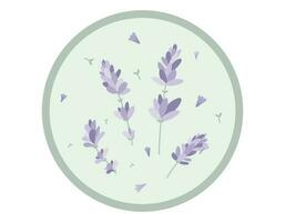 runda vektor klistermärke eller märka med kvistar och lavendel- blommor i platt stil.