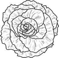 Gekritzel Rose Blume isoliert Linie Hand gezeichnete Vektor-Illustration Färbung Skizze für ein Tattoo vektor