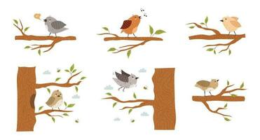 samling av olika små fåglar Sammanträde på träd grenar. flygande och sång vår sparvar. platt stock vektor illustration på ett isolerat vit bakgrund. olika rolig vild befjädrad djur.