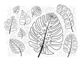 Monstera tropisch Blätter Gekritzel einstellen Vektor Illustration