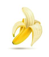 halb geschält Banane auf ein Weiß Hintergrund. Vektor isoliert realistisch Illustration