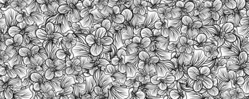 abstrakt schwarz Weiß Färbung Blatt Blumen- Blume Muster Vektor Hintergrund Illustration