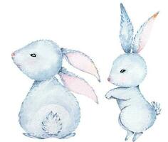 Aquarell Hase süß.Cartoon Hase Illustration mit Aquarell. Hand gezeichnet Tier Abbildung.geeignet zum Kinder. vektor