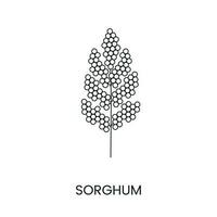 Sorghum Linie Symbol im Vektor, Illustration von ein Müsli Pflanze. vektor