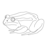 Frosch Linie Vektor Illustration. Linie Kunst Frosch