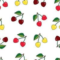vektor illustration sömlös mönster av sommar bär. röd och gul hallon och björnbär på vit bakgrund