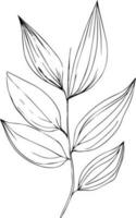Hand gezeichnet botanisch Frühling Elemente Linie Kunst, botanisch Illustration botanisch Linie Zeichnung, Vektor skizzieren künstlerisch Einfachheit botanisch Gekritzel Kunst, einfach botanisch Zeichnung, Botanik Illustration