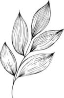 botanisch Elemente Vektor skizzieren, Hand gezeichnet Blatt Linie Kunst , botanisch Blatt Knospe Illustration graviert Tinte Kunst Stil. botanisch Vektor Zeichnung. Jahrgang botanisch Blatt Zeichnung