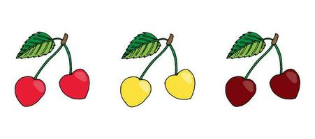 Vektor Illustration einstellen von Sommer- Beeren. Gelb, rot und Burgund Süss Kirschen