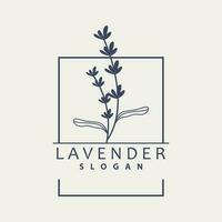 lavendel- logotyp, enkel elegant lila blomma växt vektor, hälsning kort design, baner, blomma prydnad, lavendel- hand dragen bröllop, ikon symbol illustration vektor