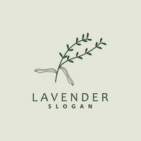 Lavendel Logo, einfach elegant lila Blume Pflanze Vektor, Gruß Karte Design, Banner, Blume Ornament, Lavendel Hand gezeichnet Hochzeit, Symbol Symbol Illustration vektor