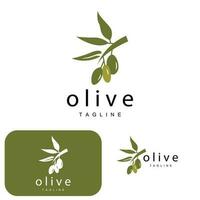 Olive Logo, Olive Öl Pflanze Vektor, natürlich Kräuter- Gesundheit Medizin Design, Illustration Vorlage Symbol vektor