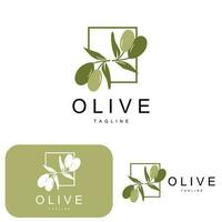 oliv logotyp, oliv olja växt vektor, naturlig ört- hälsa medicin design, illustration mall ikon vektor