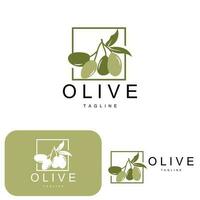 Olive Logo, Olive Öl Pflanze Vektor, natürlich Kräuter- Gesundheit Medizin Design, Illustration Vorlage Symbol vektor