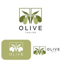 Olive Logo, Olive Öl Pflanze Vektor, natürlich Kräuter- Gesundheit Medizin Design, Illustration Vorlage Symbol vektor