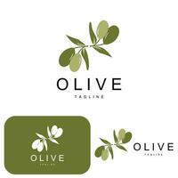 oliv logotyp, oliv olja växt vektor, naturlig ört- hälsa medicin design, illustration mall ikon vektor