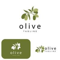 oliv logotyp, oliv olja växt vektor, naturlig ört- hälsa medicin design, illustration mall ikon vektor