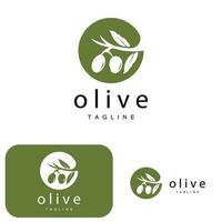 Olive Logo, Olive Öl Pflanze Vektor, natürlich Kräuter- Gesundheit Medizin Design, Illustration Vorlage Symbol vektor