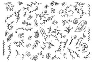 en uppsättning av klotter ikon vektor illustration samling av gren och kvist design element med blomma knopp löv och kronblad