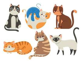 söt katter. fluffig katt, Sammanträde kattunge karaktär eller inhemsk djur isolerat vektor illustration samling