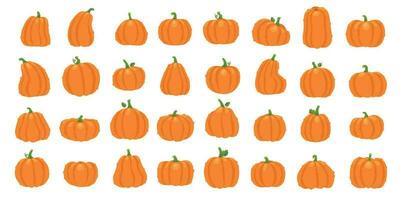 tecknad serie orange pumpa. halloween oktober Semester dekorativ pumpor. gul kalebass, friska squash vegetabiliska vektor illustration uppsättning