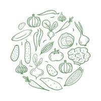färsk grönsaker cirkel form mönster för färg bok. klotter friska mat mandala färg sida. hand dragen skriva ut med majs, pumpa, tomat, broccoli, etc. vektor illustration