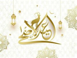 beleuchtet Laterne auf nahtlos Weiß Hintergrund mit islamisch Arabisch Kalligraphie Text von eid-al-adha Festival Feier Poster oder Banner Design. vektor