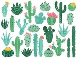 Mexikaner Kaktus und Aloe. Wüste stachelig Anlage, Mexiko Kakteen Blume und tropisch Zuhause Pflanzen isoliert Vektor Sammlung