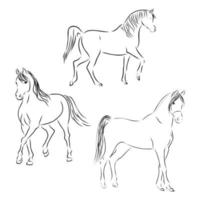 uppsättning fina hästar skisserar vektor insamling vacker häst vektor skiss illustration