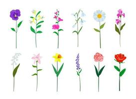 realistisk färgrik platt design blommor uppsättning. perfekt för illustrationer och utbildning. vektor