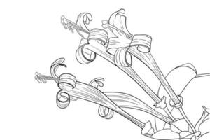 hand dragen blomning kaprifol blommor. realistisk illustration. vektor