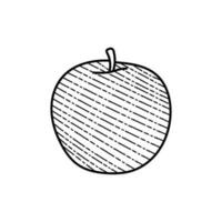 Apfel Obst Linie Kunst Stil kreativ Design vektor
