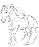 skön häst linje konst färg sida för djur- färg bok vektor