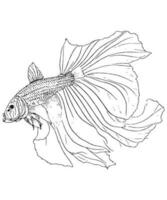 Betta Fisch Linie Hand Zeichnung schwarz und Weiß oling Seite Design ebenfalls bekannt wie Siamese Kampf Fisch Zeichnung zum Färbung Buch vektor