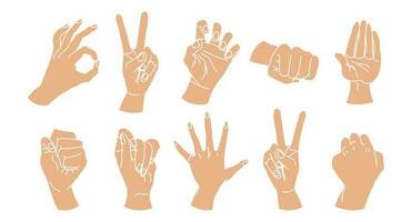 Satz gezeichneter menschlicher Hände. eine Reihe von Händen in einer Sammlung verschiedener Gesten. Abbildung, Vektor