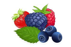 hallon blåbär och jordgubbar söt frukt illustration för webben isolerad på vit bakgrund vektor