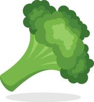 broccoli grönsaker, isolerat bakgrund. vektor