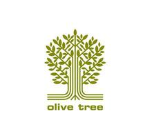 Olive Baum Symbol zum Olive Öl, Olive Baum Blätter vektor