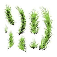 grön gräs och buskar element för design och dekorera element vektor