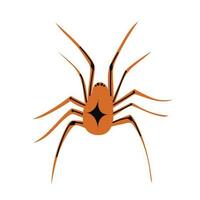 Spindel platt silhuett skrämmande, djur- giftig design. svart Spindel silhuett natur fobi insekt fara silhuett vektor ikon.