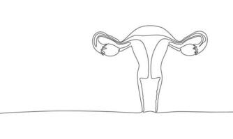 Frau reproduktiv System, einer Linie kontinuierlich. Linie Kunst Gliederung Vektor Illustration von Organe