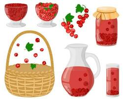 ein einstellen von rot Johannisbeeren. Sommer- Kompott im ein Karaffe, Glas, Krug. Trinken und Marmelade von hausgemacht Früchte. Beeren zum ein gesund trinken. das Konzept von gesund Essen. Korbweide Korb. Vektor Illustration.